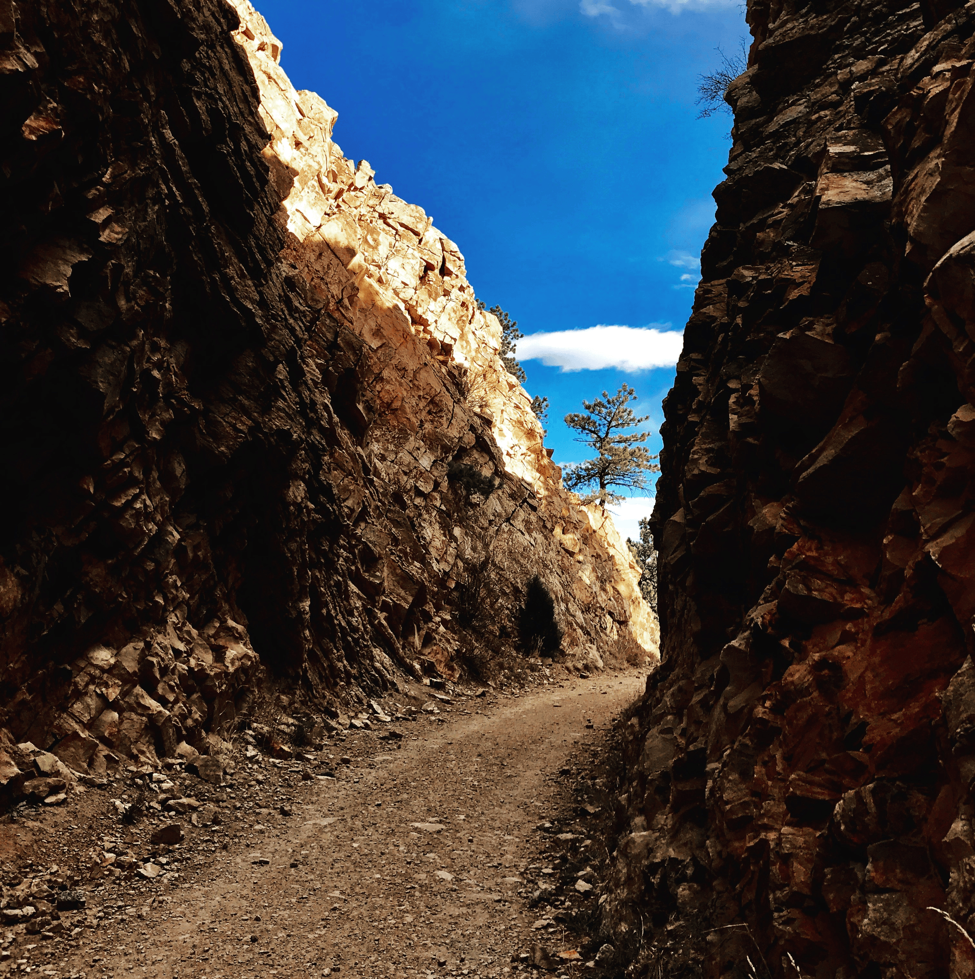 narrow canyon trail winding between tall sandstone rock walls under a bright blue sky with white clouds, and a tree